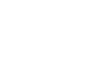 Zorzal